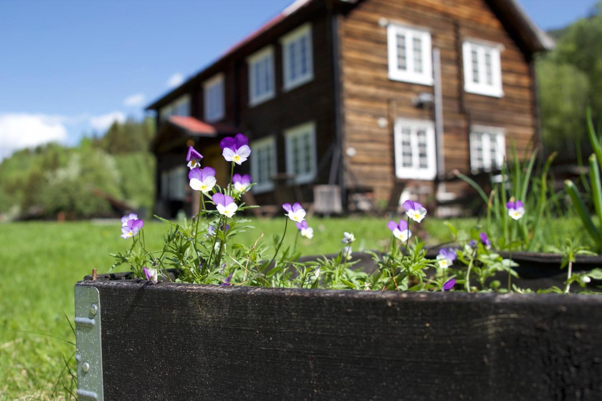 Sevletunet B&B And Cabins Rodberg Luaran gambar